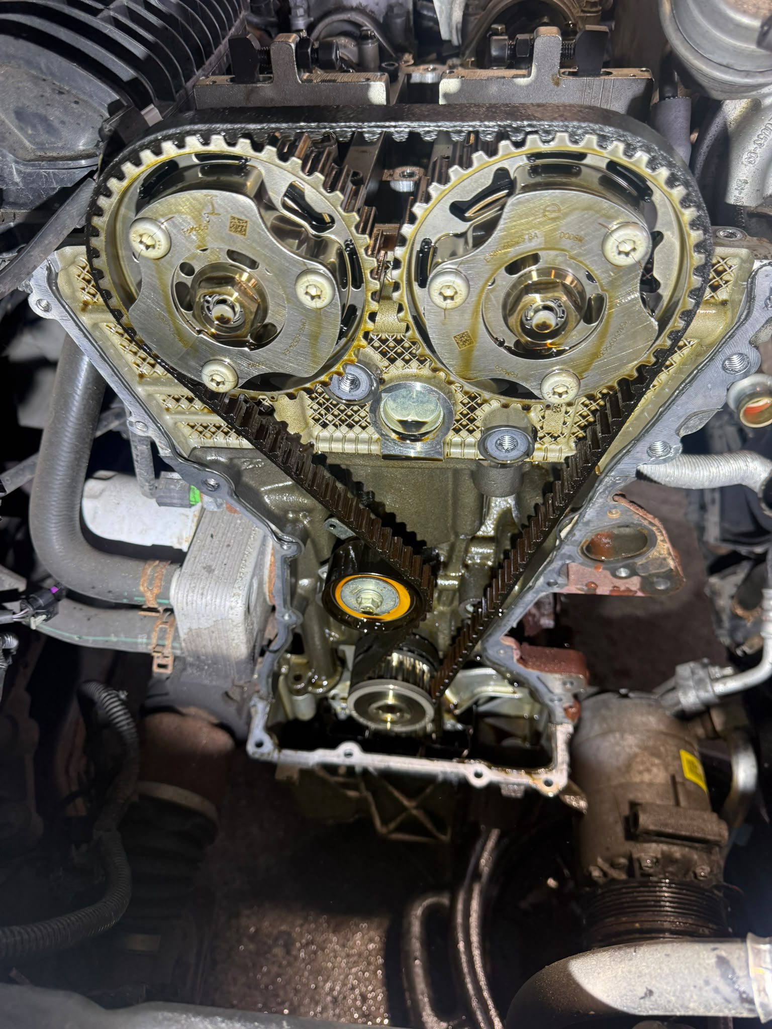 Timing belt exposed